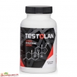 Testolan testosteron w tabletkach na siłę i masę -CENA PRODUCENTA